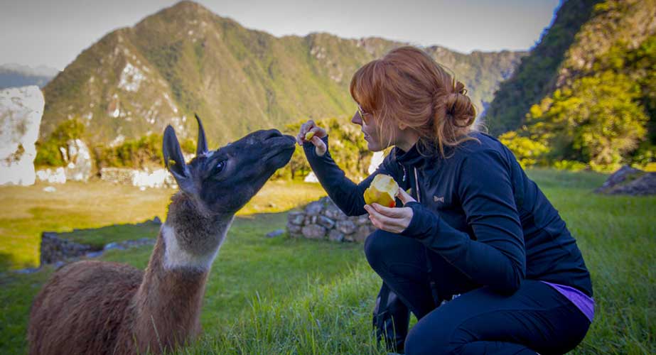 Day 11: AGUAS CALIENTES: MACHUPICCHU- CUSCO 